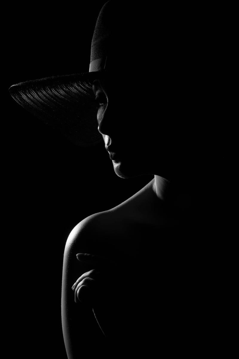 Chan Dung Nghệ Thuật